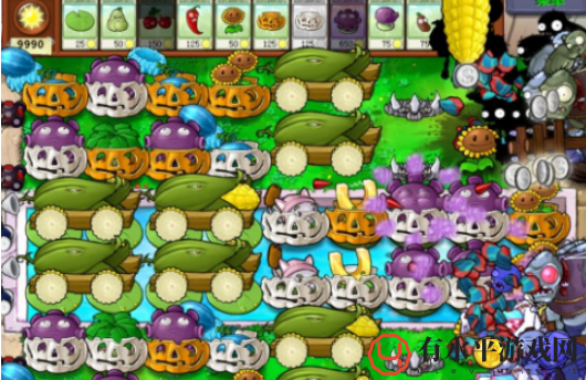 植物大战僵尸无尽版最佳阵容_植物大战僵尸最佳阵容是怎样的